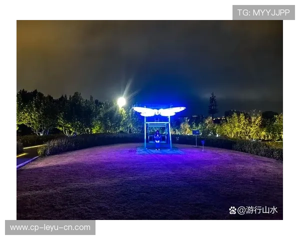 _光影灯光跑:夜晚城市的运动奇幻之旅_,2020灯光影像图