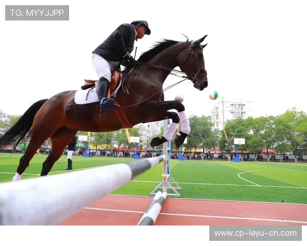 伊朗骑手卡尔·阿里·阿尔达比在巴黎奥运会后成为马术协会主席，推动马术运动发展。