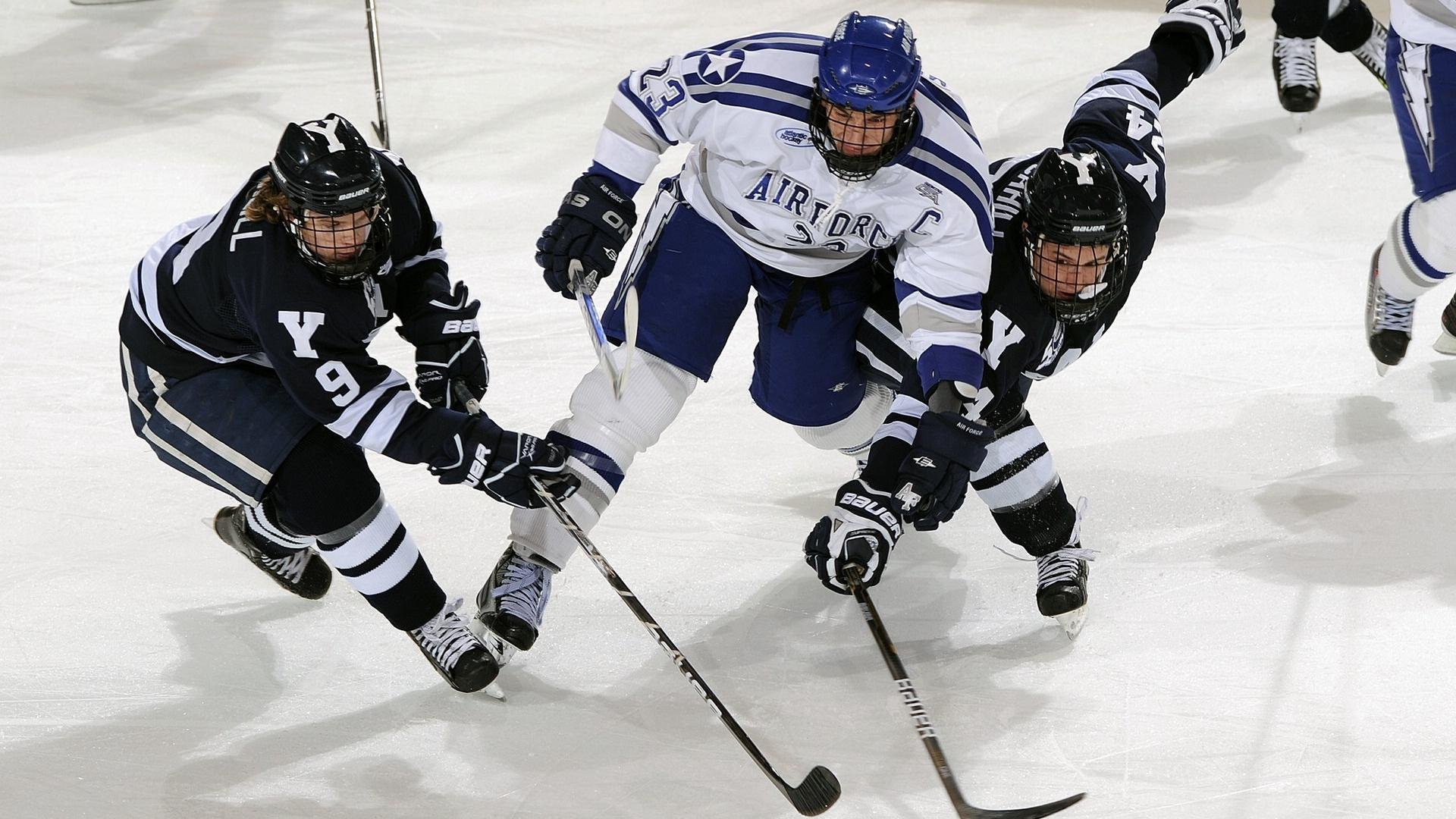 体育教练员职业发展路径及支持政策建议，体育教练相关技能
